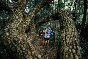 BIB: 
                            <button type="button" onclick="openModal(25392812)" class="btn btn-primary btn-sm float-right btn-popup" data-toggle="modal" data-target=".modal-high-quality">
                        <i class="fas fa-shopping-cart"></i> Add to Cart
                    </button>
                                            <button type="button" onclick="isThisMe(25392812, true)" class="btn btn-success btn-sm float-right btn-popup btn-isme hidden" data-toggle="tooltip" data-placement="bottom" title="นี่คือรูปของคุณใช่ไหม คลิกที่นี่เพื่อเอาเข้าอัลบั้ม">
                        <i class="fas fa-plus"></i> Add to album
                    </button>
                    <button type="button" onclick="isThisMe(25392812, false)" class="btn btn-warning btn-sm float-right btn-popup btn-isnotme hidden">
                        <i class="fas fa-ban"></i> Remove from album
                    </button>